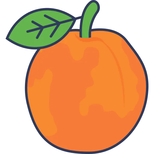 Orange icon