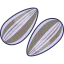 Almond icon 64x64