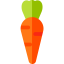 Carrot Symbol 64x64