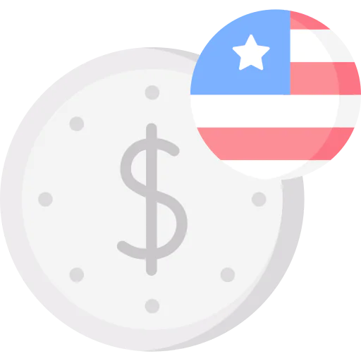 Usd icon
