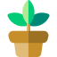 Plant icon 64x64