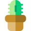 Cactus icon 64x64