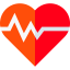 Electrocardiogram ícono 64x64