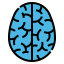 Brain icon 64x64