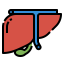 Liver icon 64x64