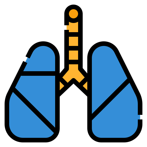 Lungs icon