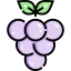 Grape icon 64x64