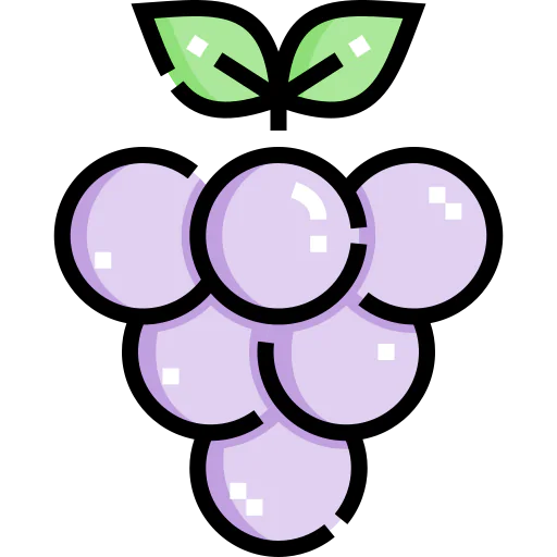Grape icon