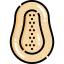 Papaya icon 64x64