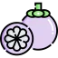 Mangosteen icon 64x64