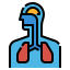 Respiratory icon 64x64