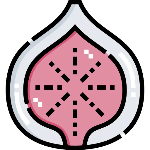 Fig icon