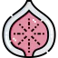 Fig icon 64x64