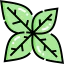 Basil アイコン 64x64