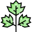 Parsley icon 64x64