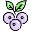 Blueberry icon 64x64