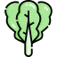 Lettuce icon 64x64