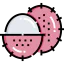 Rambutan icon 64x64