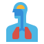 Respiratory icon 64x64