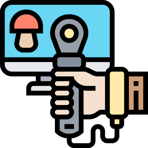 Computer ícono