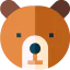 Bear icon 64x64