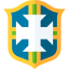 Brazil icon 64x64