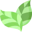 Leaves icon 64x64