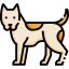 Dog icon 64x64