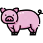 Pig icon 64x64