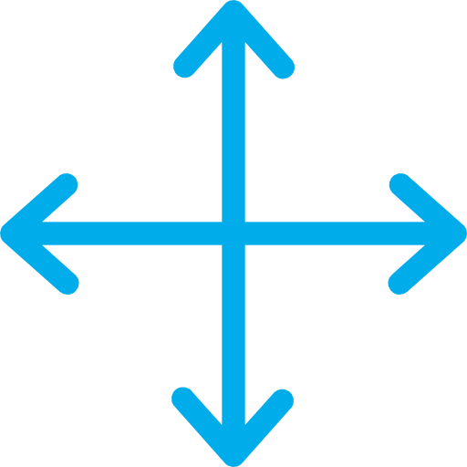 Move icon