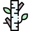 Birch tree アイコン 64x64