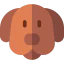 Dog icon 64x64