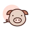 Pig icon 64x64