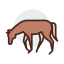 Horse icon 64x64