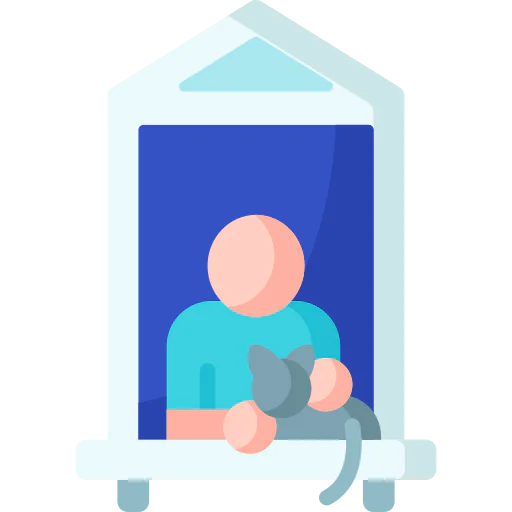 Window icon