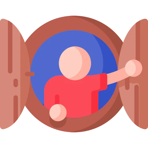 Window icon