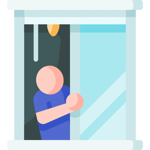 Window icon