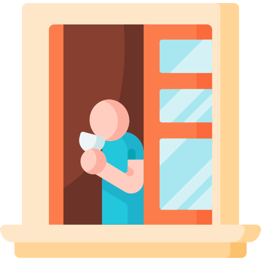 Window icon