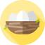 Nest Symbol 64x64