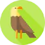 Орел иконка 64x64