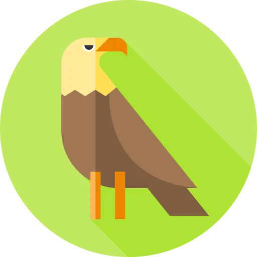 Eagle icon