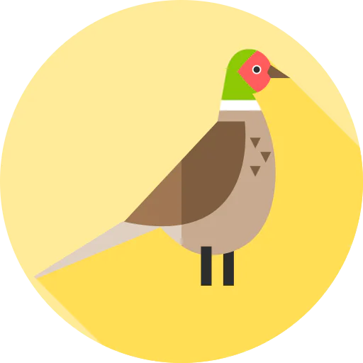 Pheasant icon