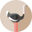 Ostrich Symbol 64x64