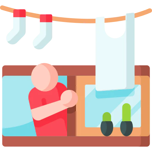 Window icon