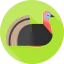 Turkey icon 64x64