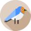 Barn swallow biểu tượng 64x64