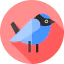 Bird icon 64x64