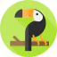 Toucan icon 64x64