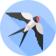 Swallow icône 64x64