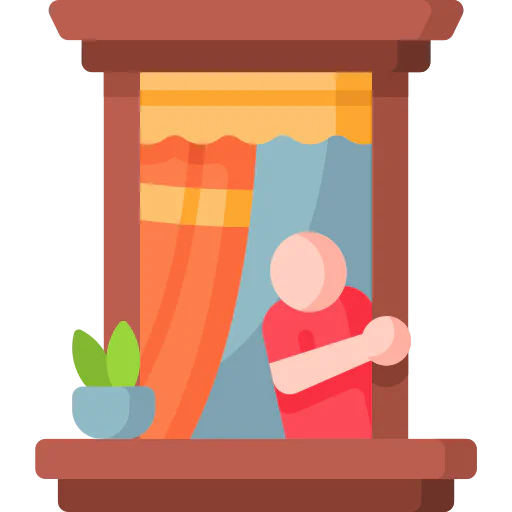 Window icon